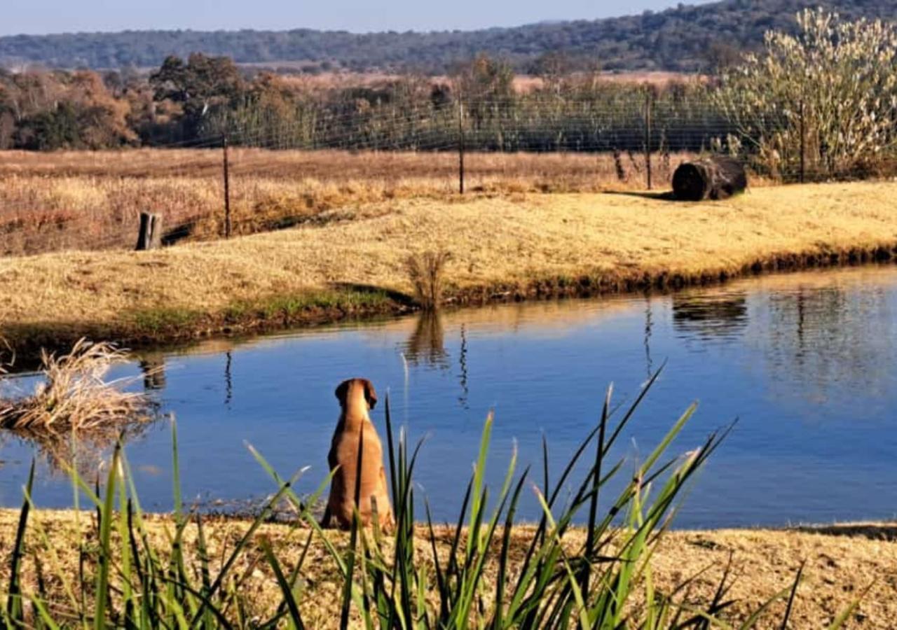 Vila Imbabali Retreat & Venue Magaliesburg Exteriér fotografie